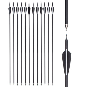 Unleash Your Archery Skills with the 12 Pack 30 Inch Carbon Arrows SP500