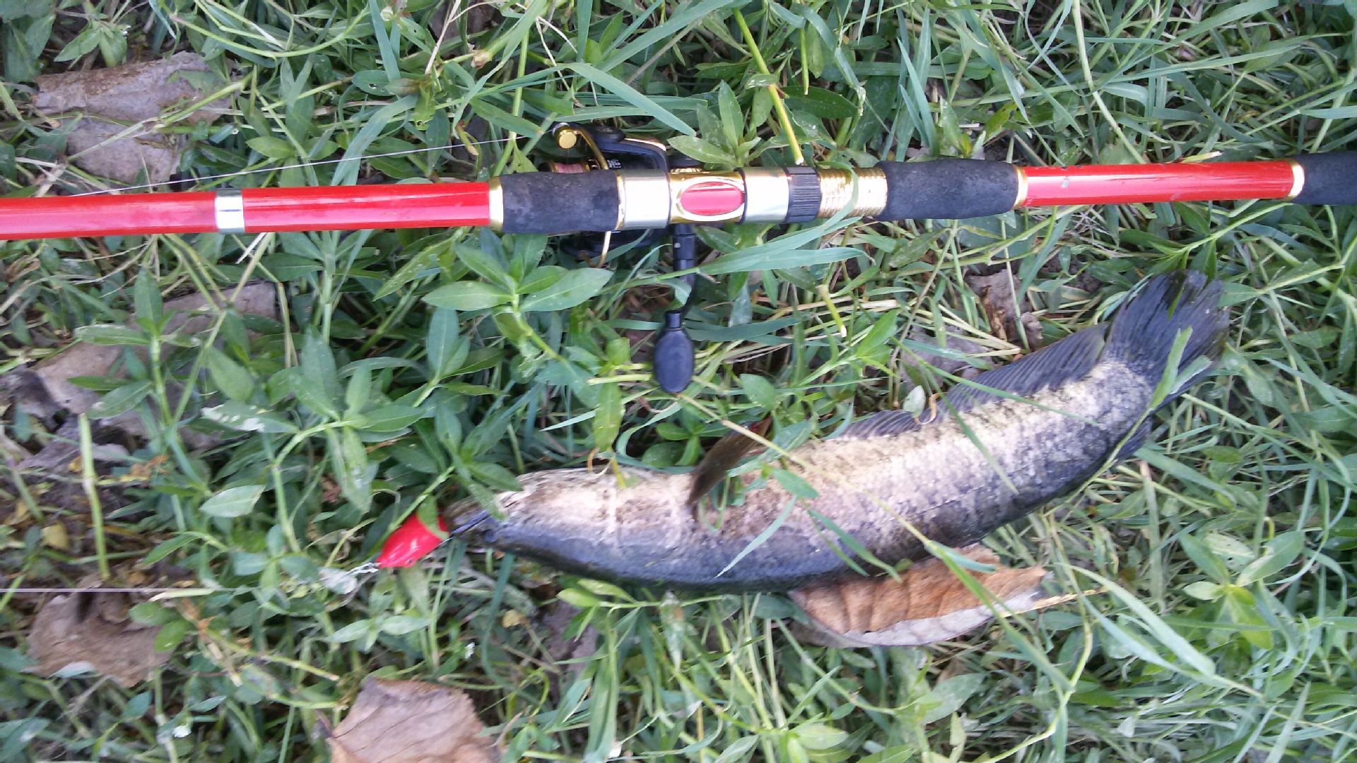 Fishing Tools Set Complete Outdoor Tackle Kit Accessories Gear