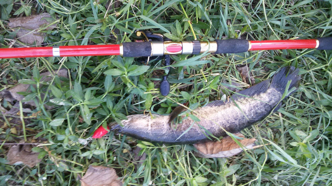 Fishing Tools Set Complete Outdoor Tackle Kit Accessories Gear