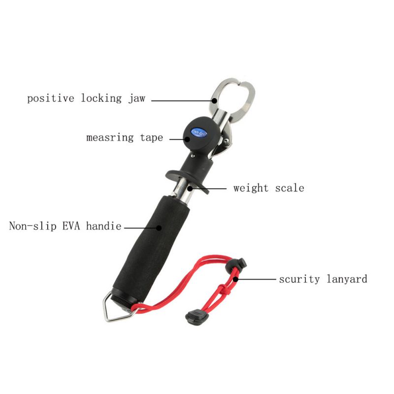 Stainless Steel Mini Fish Controller With Ruler And Scale Tool